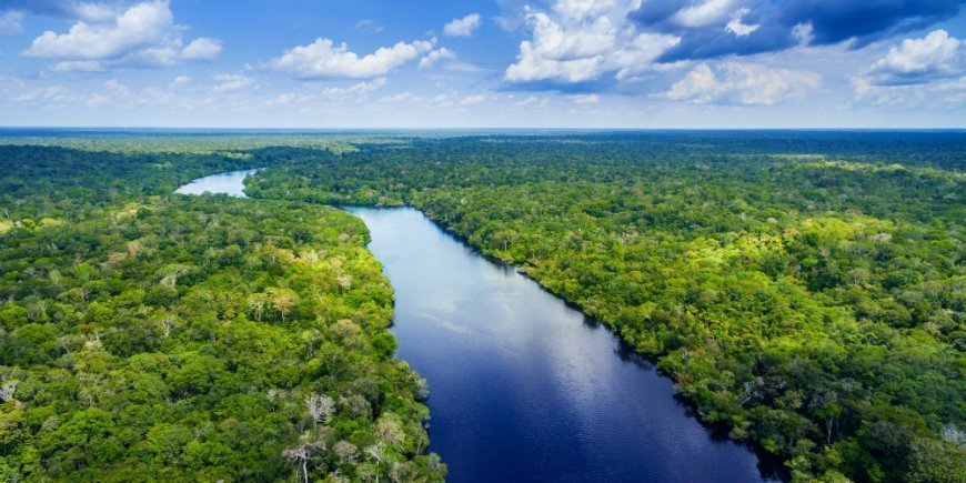 Amazonas, Manaus