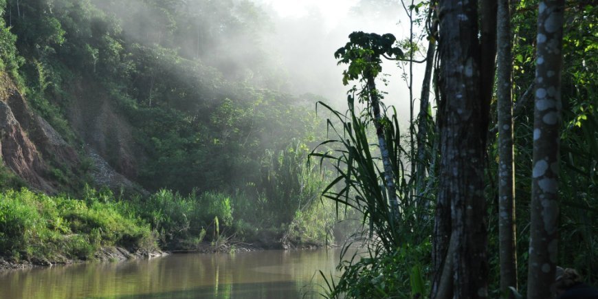 Amazonas Madre de Dios-floden